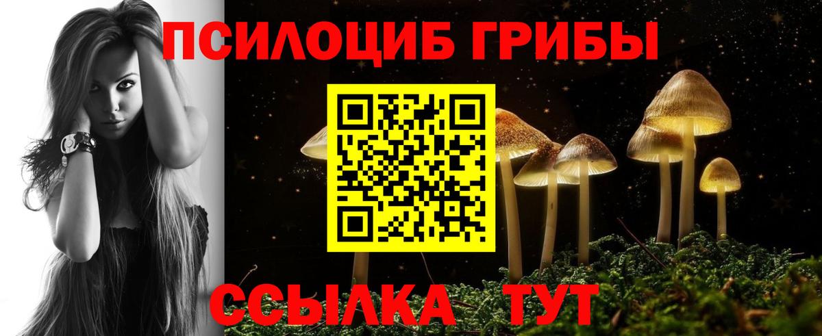 Псилоцибиновые грибы Psilocybine cubensis Наро-Фоминск